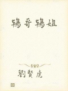 鸨哥鸨姐封面