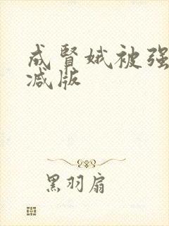 成贤娥被强未删减版封面