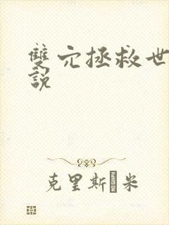 双穴拯救世界小说封面