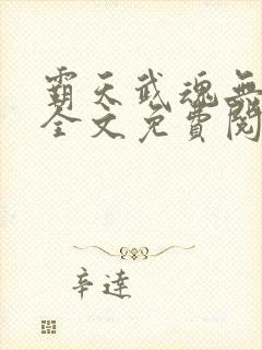 霸天武魂无弹窗全文免费阅读封面