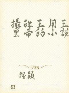 摄政王用玉髓整皇帝的小说
