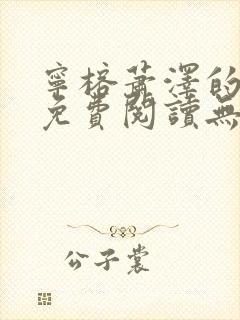 宁榕萧泽的小说免费阅读无弹窗