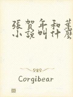 张贺年和叶繁姿小说叫什么名字