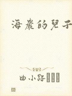 海岩的儿子