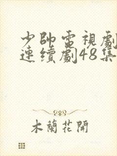 少帅电视剧免费连续剧48集封面