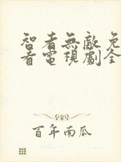 智者无敌免费观看电视剧全集