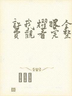 许我耀眼全集免费观看完整版高清封面