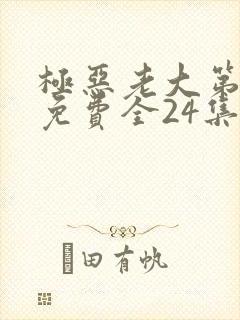 极恶老大第二季免费全24集