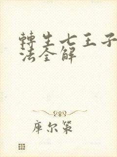 转生七王子的魔法全解