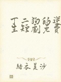 丁二狗的逆袭人生短剧免费播