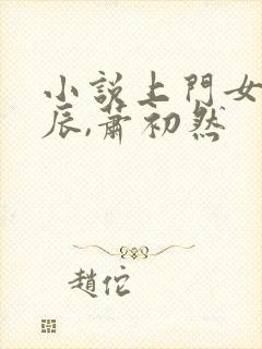 小说上门女婿叶辰,萧初然