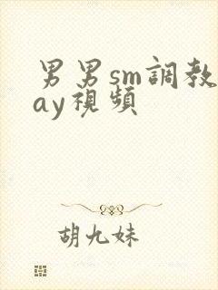 男男sm调教gay视频封面