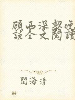 顾西深黎晚若小说全文阅读封面