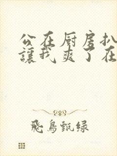 公在厨房扒开腿让我爽了在线观看封面