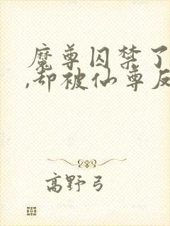 魔尊囚禁了仙尊,却被仙尊反攻了