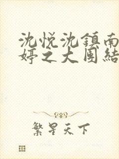 沈悦沈镇南陆婷婷之大团结封面