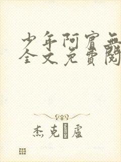 少年阿宾无删减全文免费阅读笔趣阁