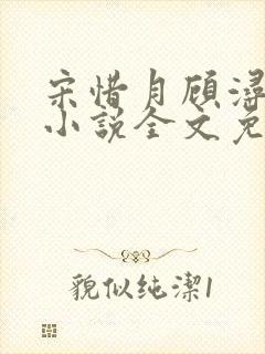 宋惜月顾浔渊的小说全文免费阅读