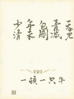 少年包青天2高清未删减免费在线观看