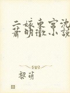 二嫁东宫沈雨燃萧明彻小说免费阅读全文
