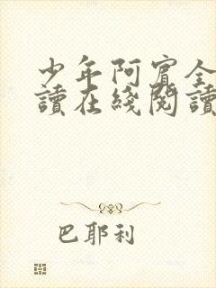 少年阿宾全文阅读在线阅读全文封面