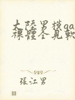 大陆男模gay裸体全见软件