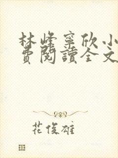 林峰宁欣小说免费阅读全文最新章节