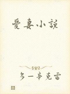 爱妻小说