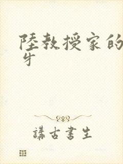 陆教授家的小月牙封面