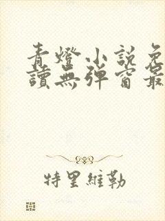 青灯小说免费阅读无弹窗最新章节