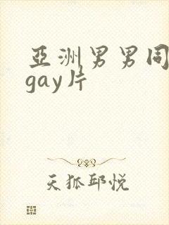 亚洲男男同性恋gay片