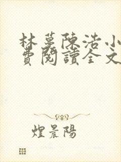 林蔓陈浩小说免费阅读全文最新章节封面