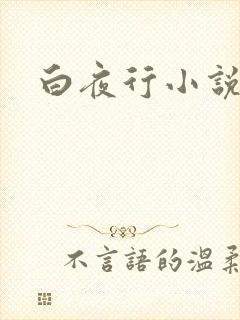 白夜行小说下载封面