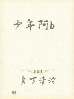 少年阿b