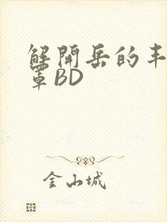 解开岳的丰满奶罩BD封面