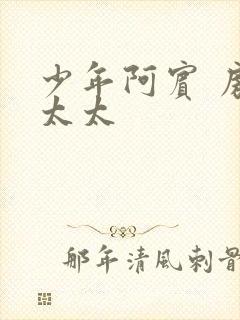 少年阿宾 房东太太