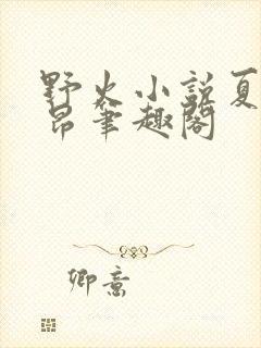 野火小说夏布多昂笔趣阁封面