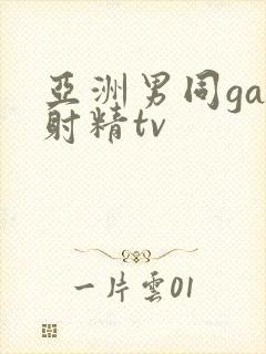 亚洲男同gay射精tv封面