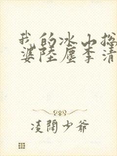 我的冰山总裁老婆陆尘李清瑶