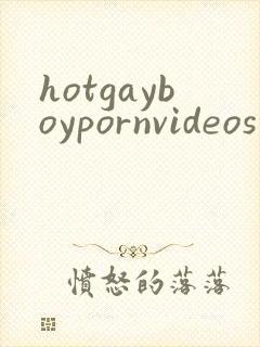hotgayboypornvideos