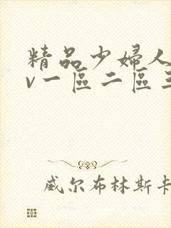 精品少妇人妻av一区二区三区封面