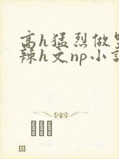 高h猛烈做哭高辣h文np小说