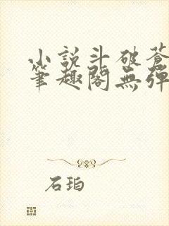 小说斗破苍穹新笔趣阁无弹窗