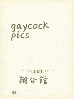 gaycockpics