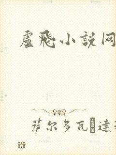 卢飞小说网