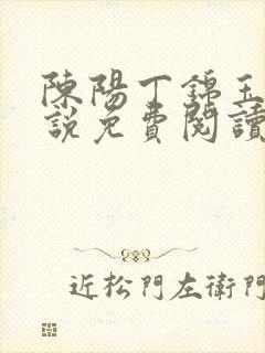 陈阳丁锦玉的小说免费阅读全文