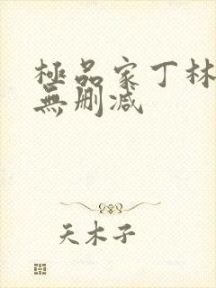 极品家丁林晚荣无删减
