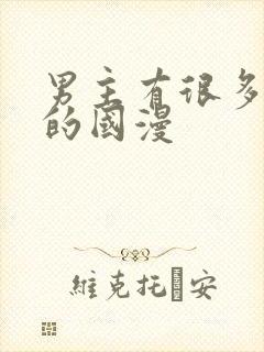 男主有很多老婆的国漫