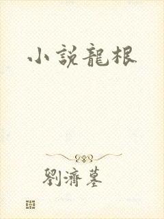 小说龙根