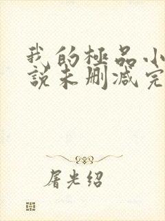 我的极品小姨小说未删减完整版